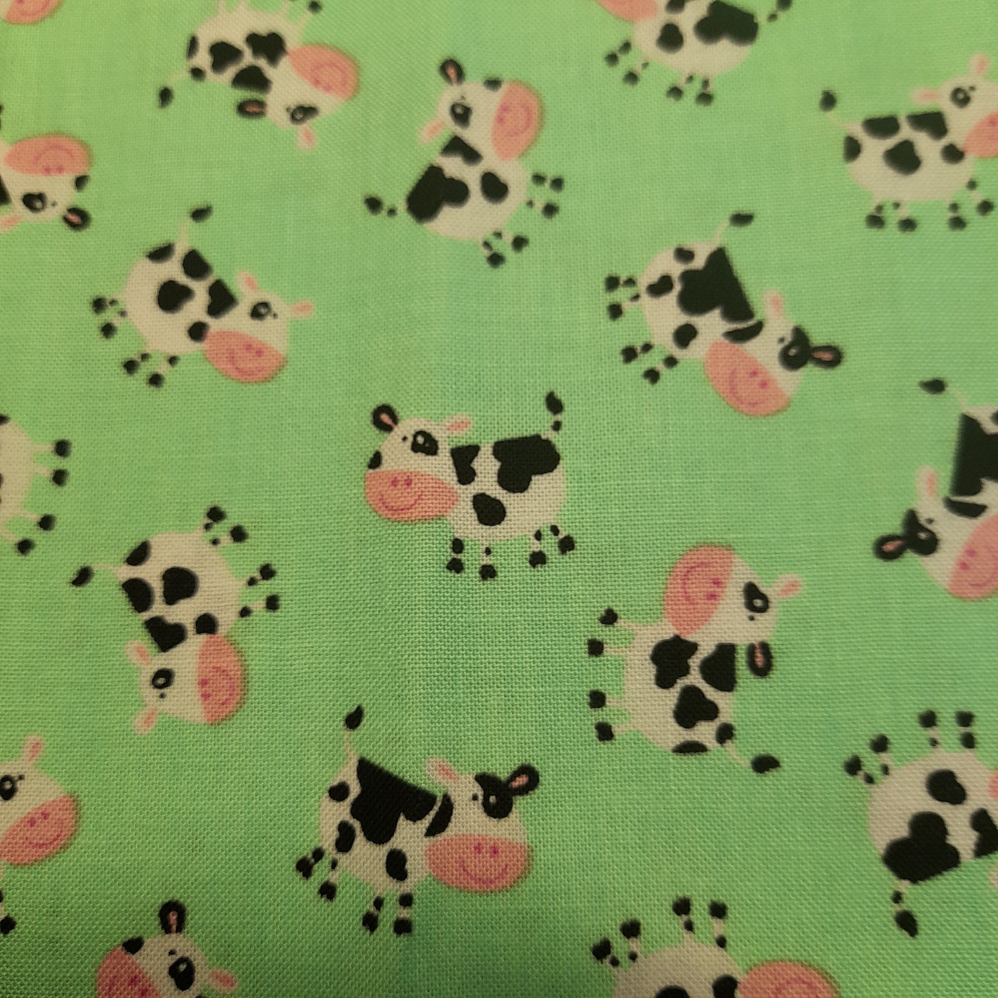 Piece 14 : Timeless Treasures , Cows.