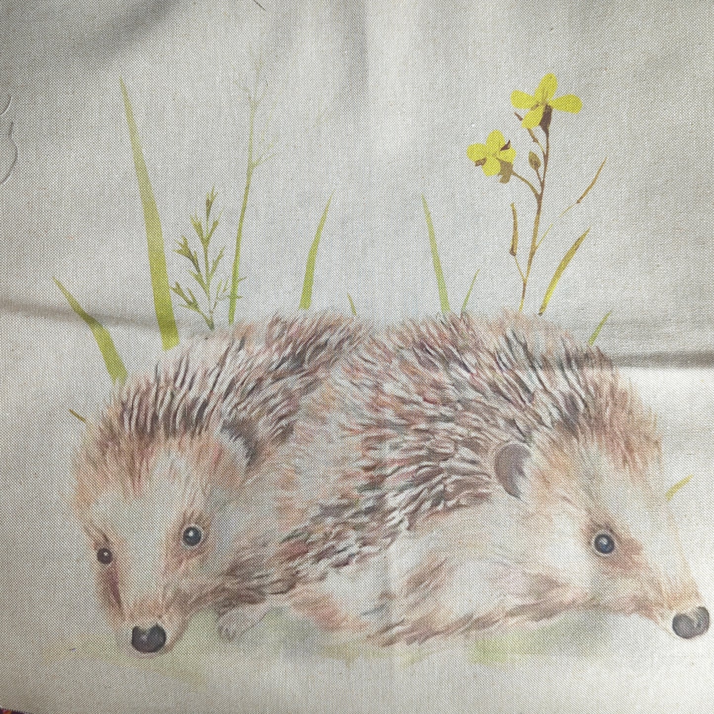 Cotton Rich Panel - Cushion/Bag Fronts - Hedgehog