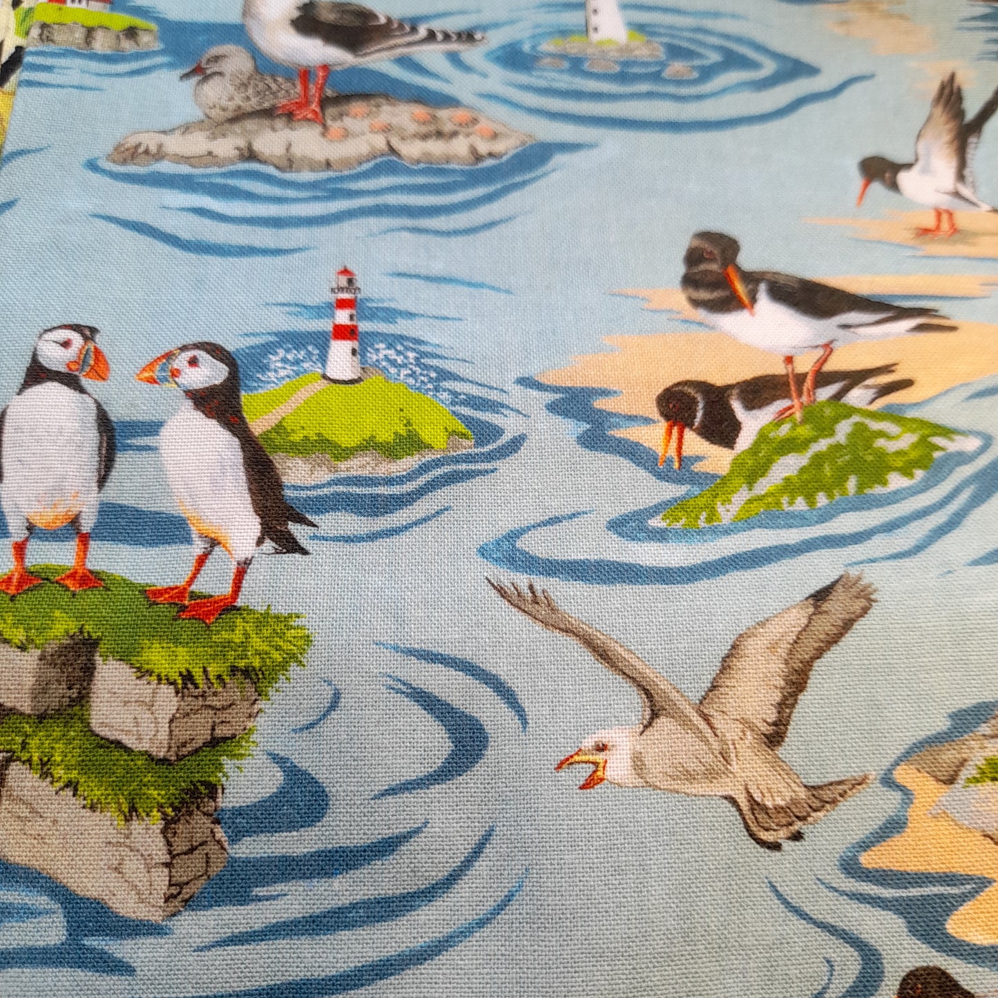 Nutex : By The Sea - Birds .