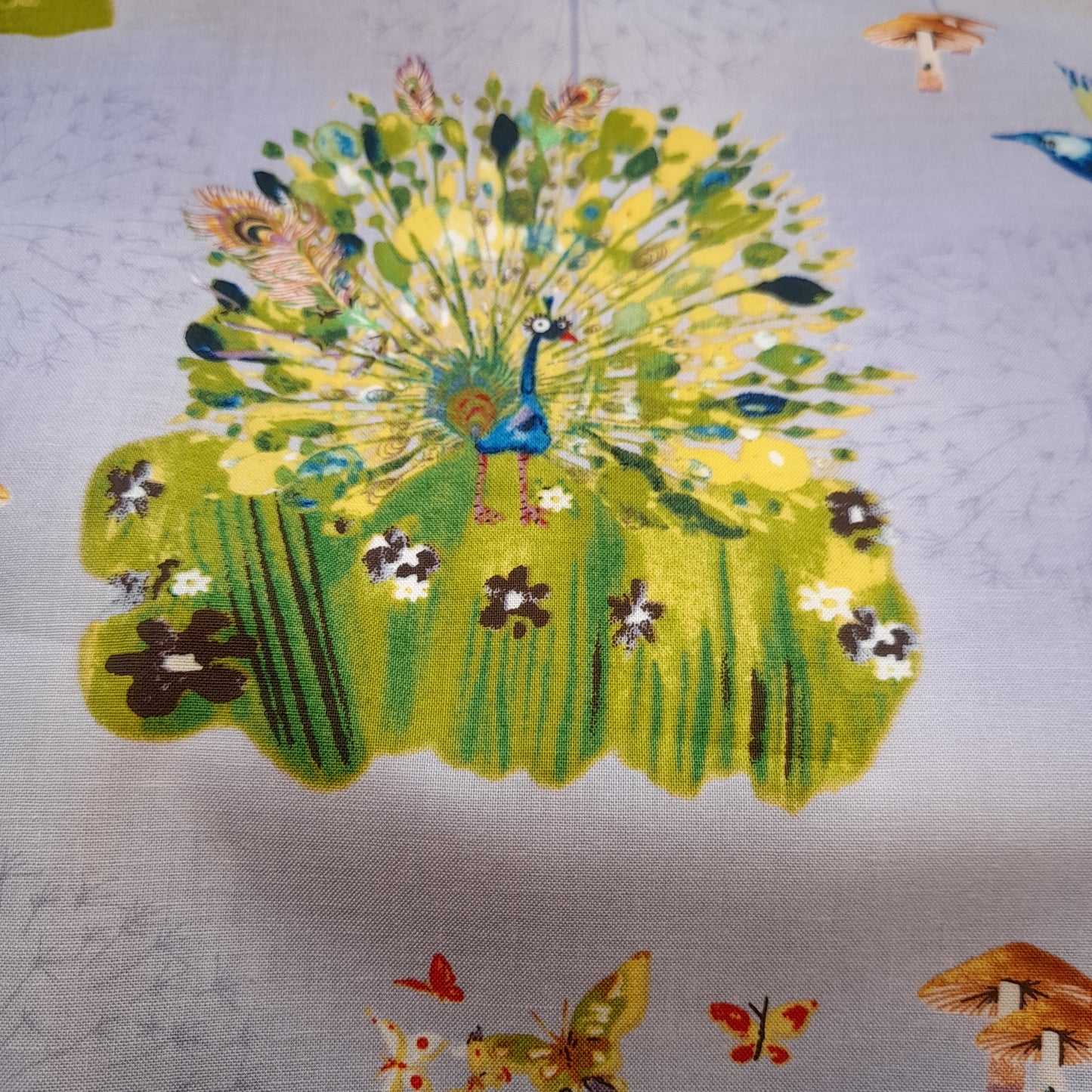 Forest Wonder for Clothworks.