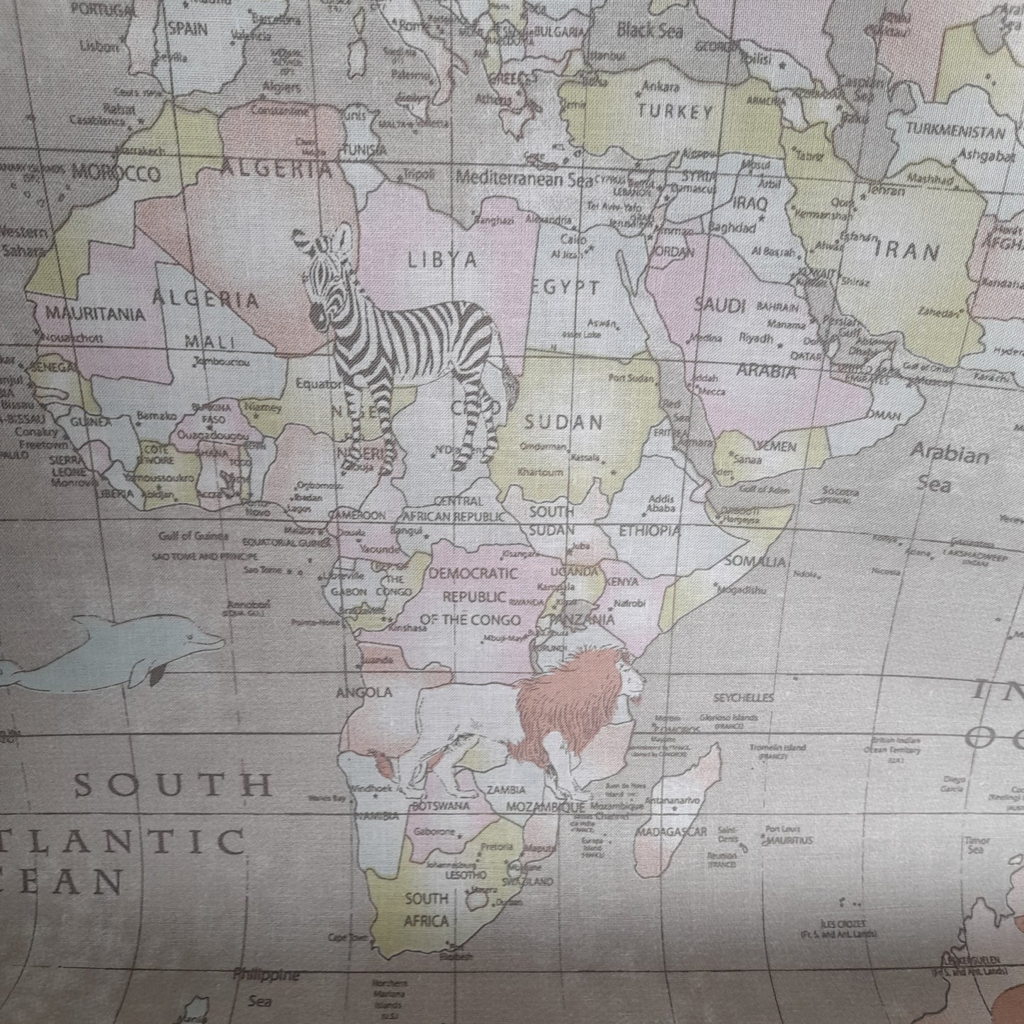 Lifestyle - World Map