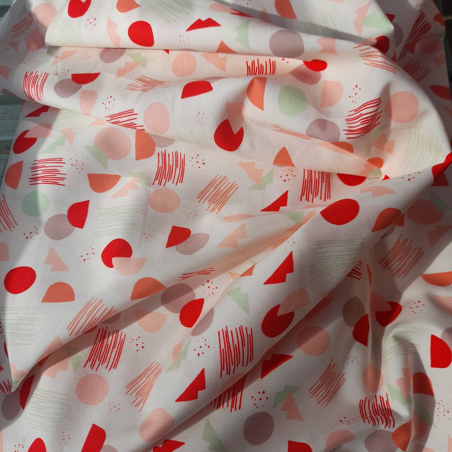 Art Gallery - " Hello Ollie "