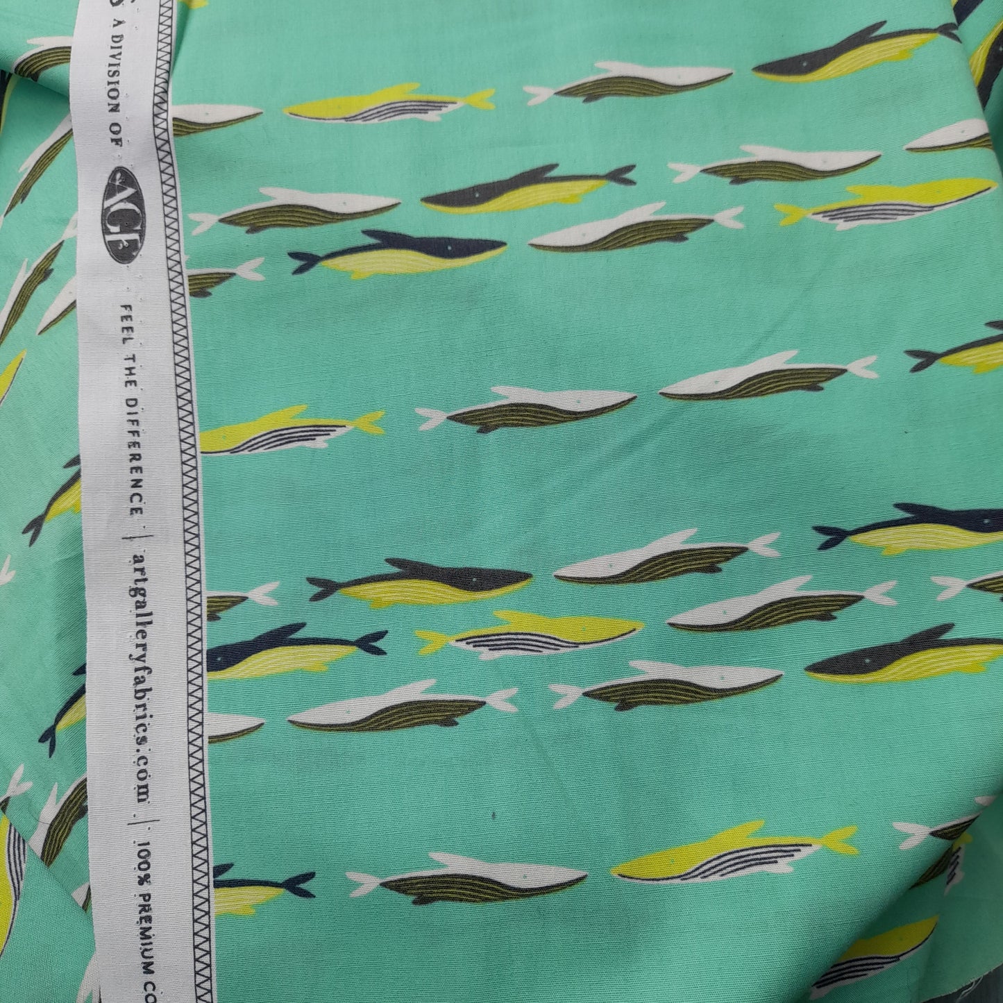 Art Gallery - Sirena , " Oceania Morning " .