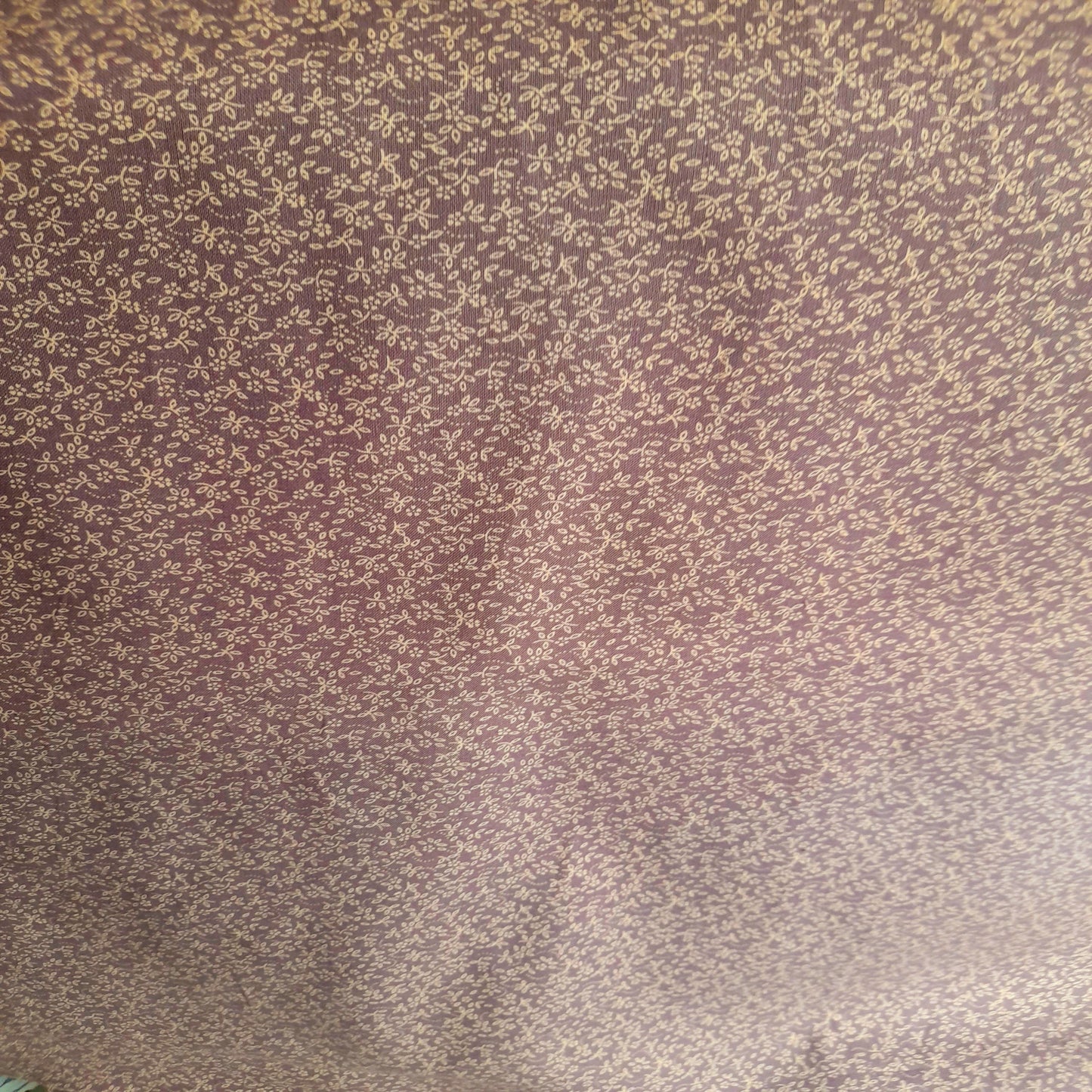 Ditzy Daisy - Heather