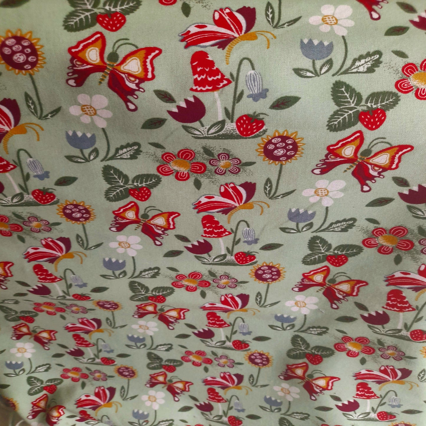 Green Butterfly Floral