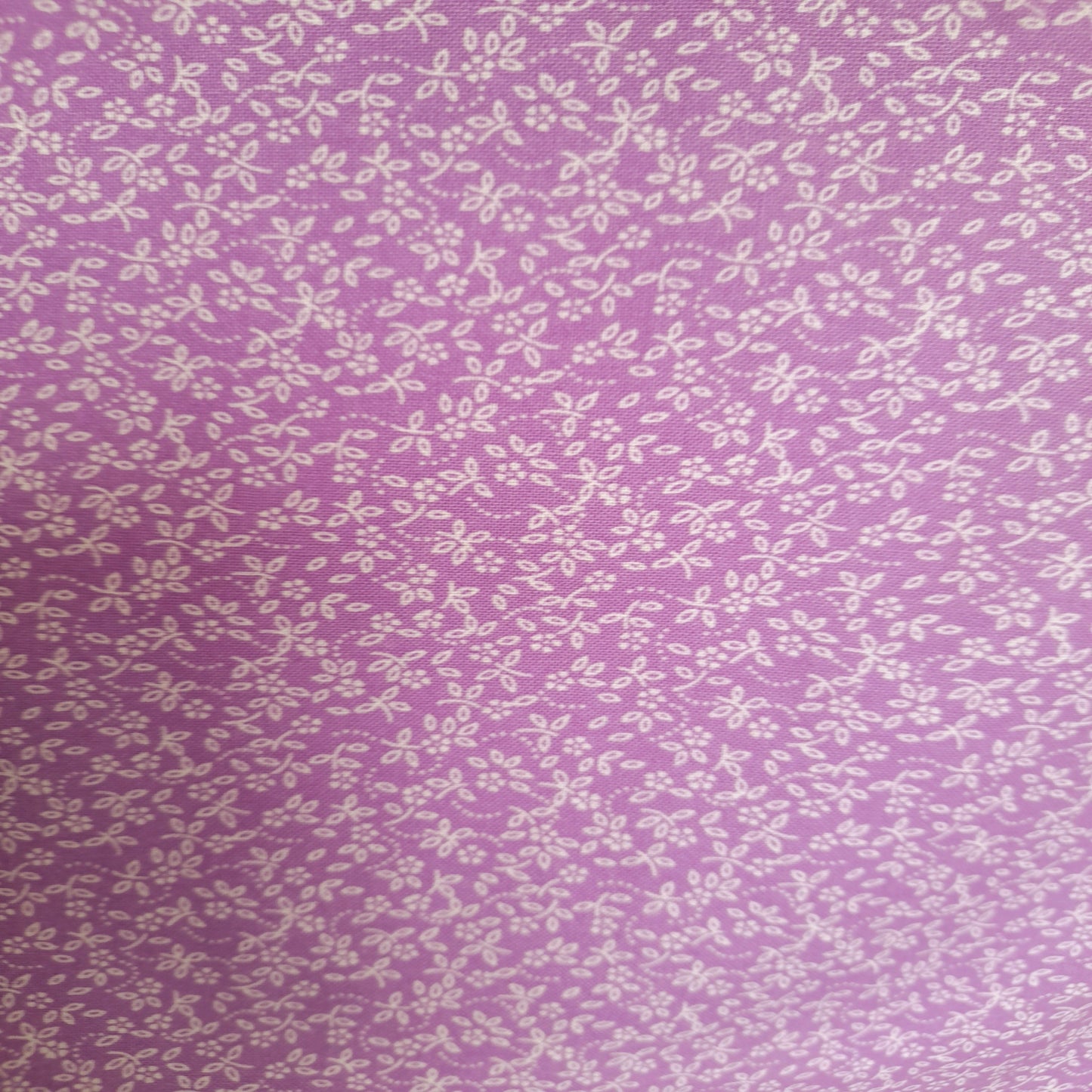 Ditzy Daisy - Lavender