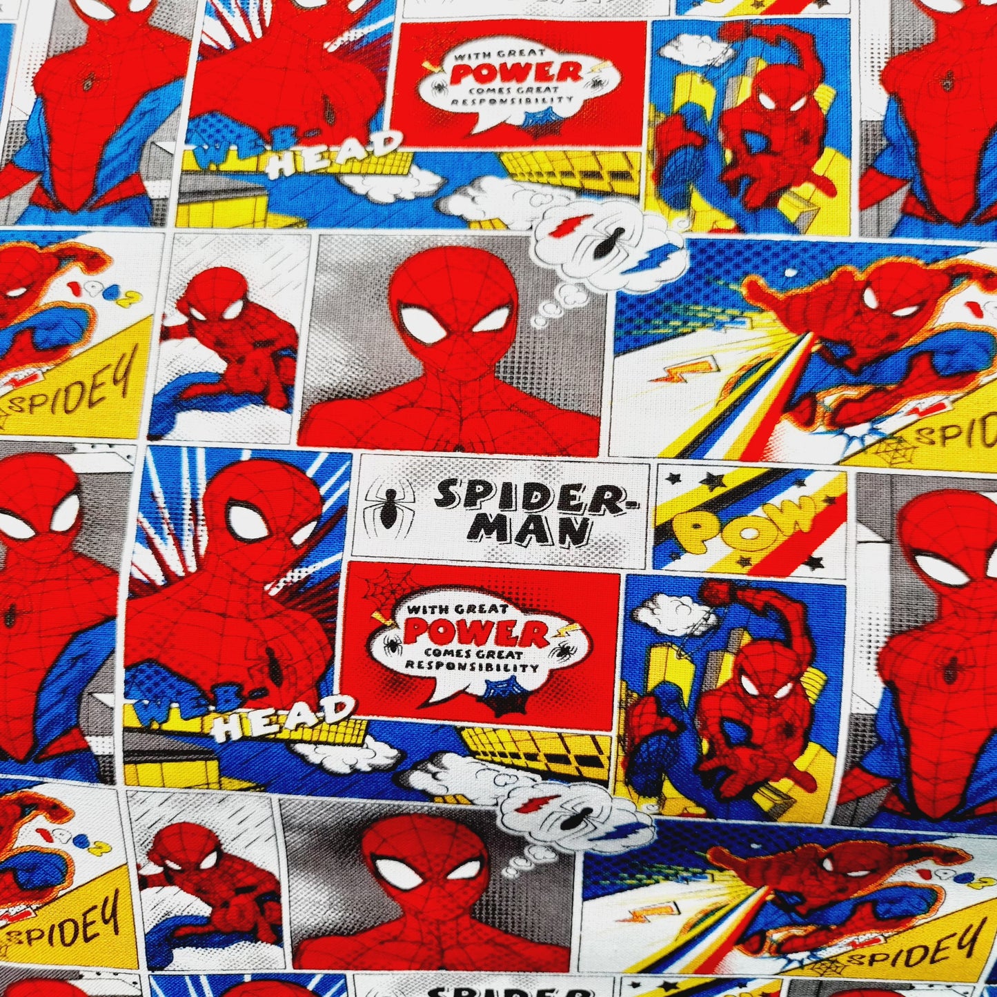 Spiderman Comic Strip