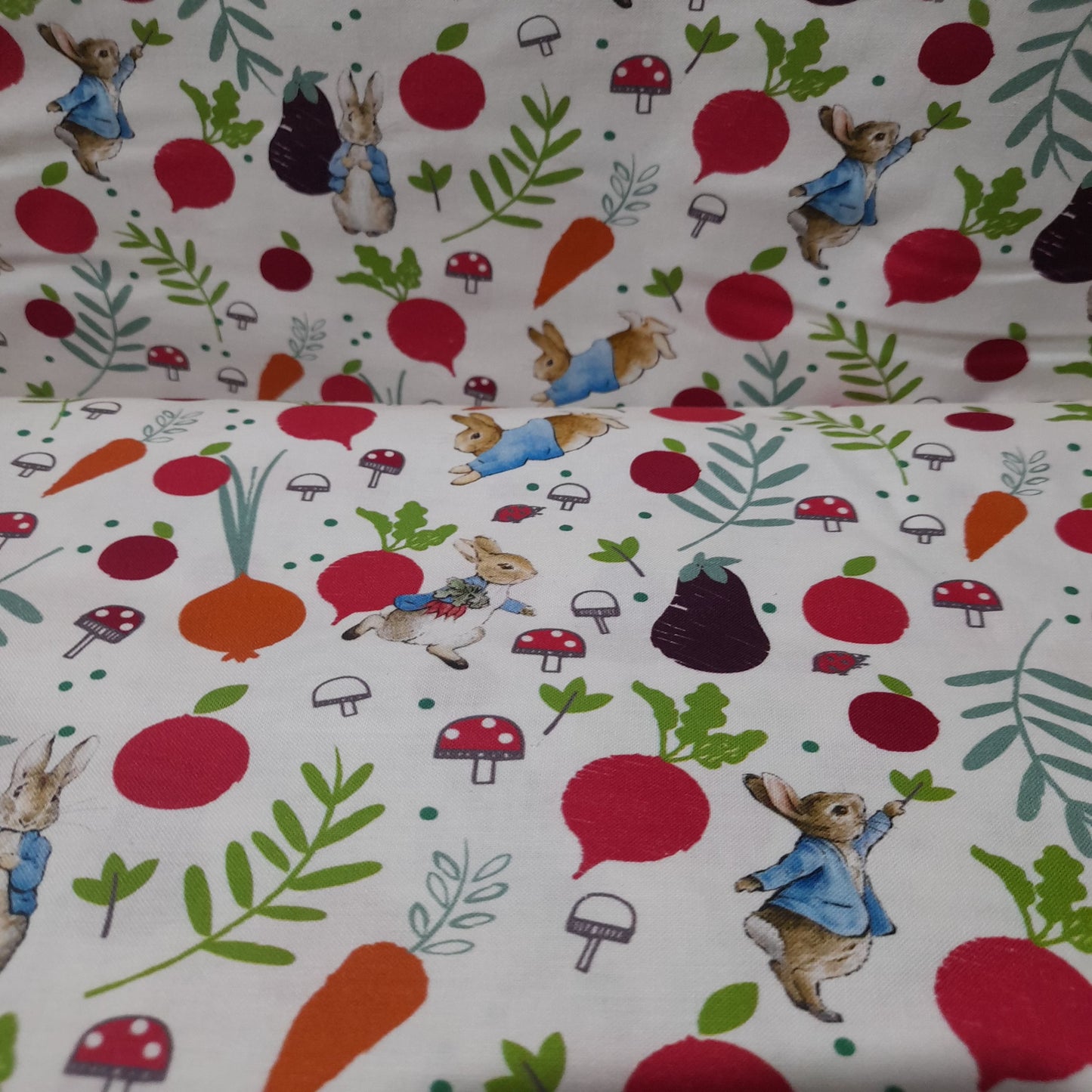 Peter Rabbit - In the Veg Garden