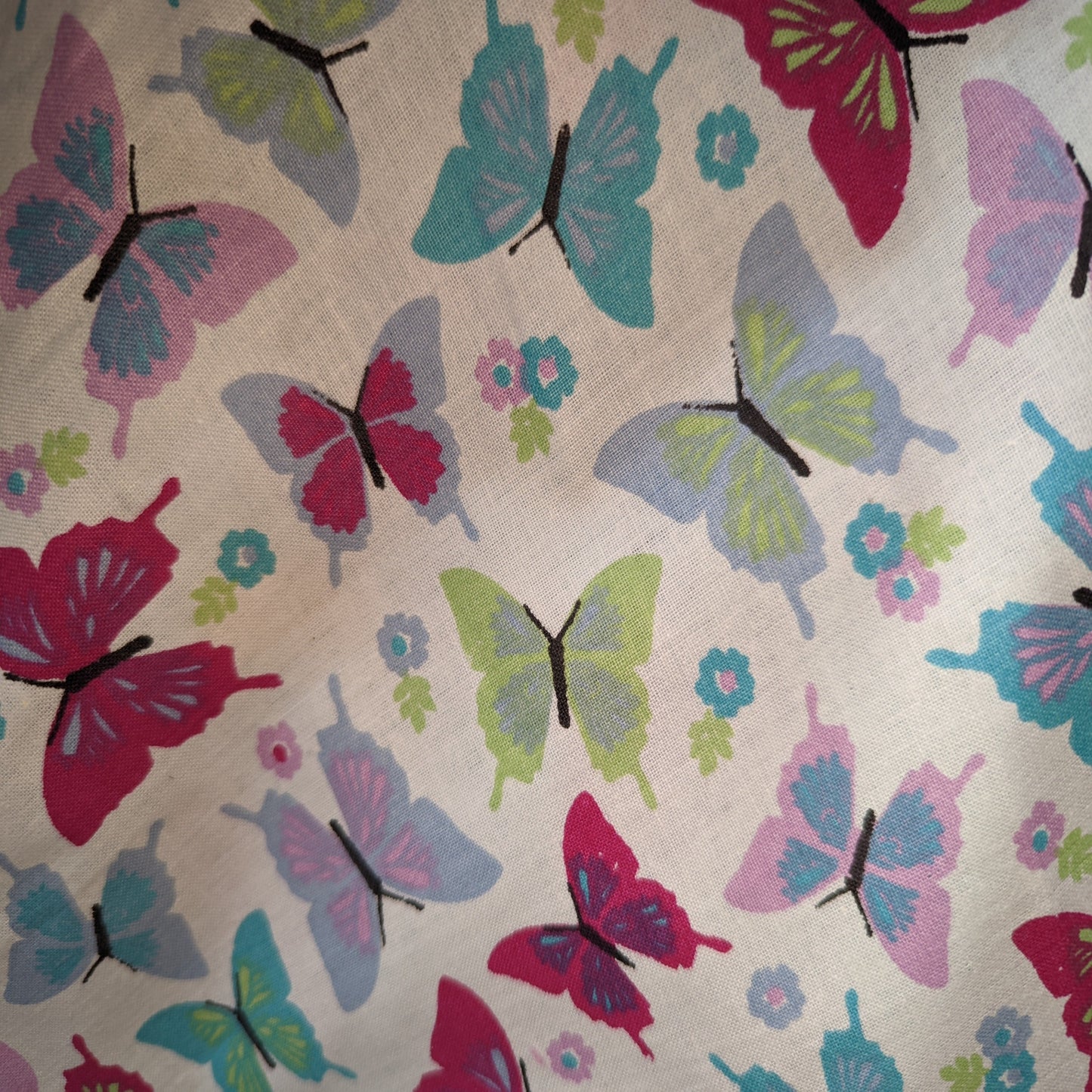 Lifestyle - Cream Butterfly