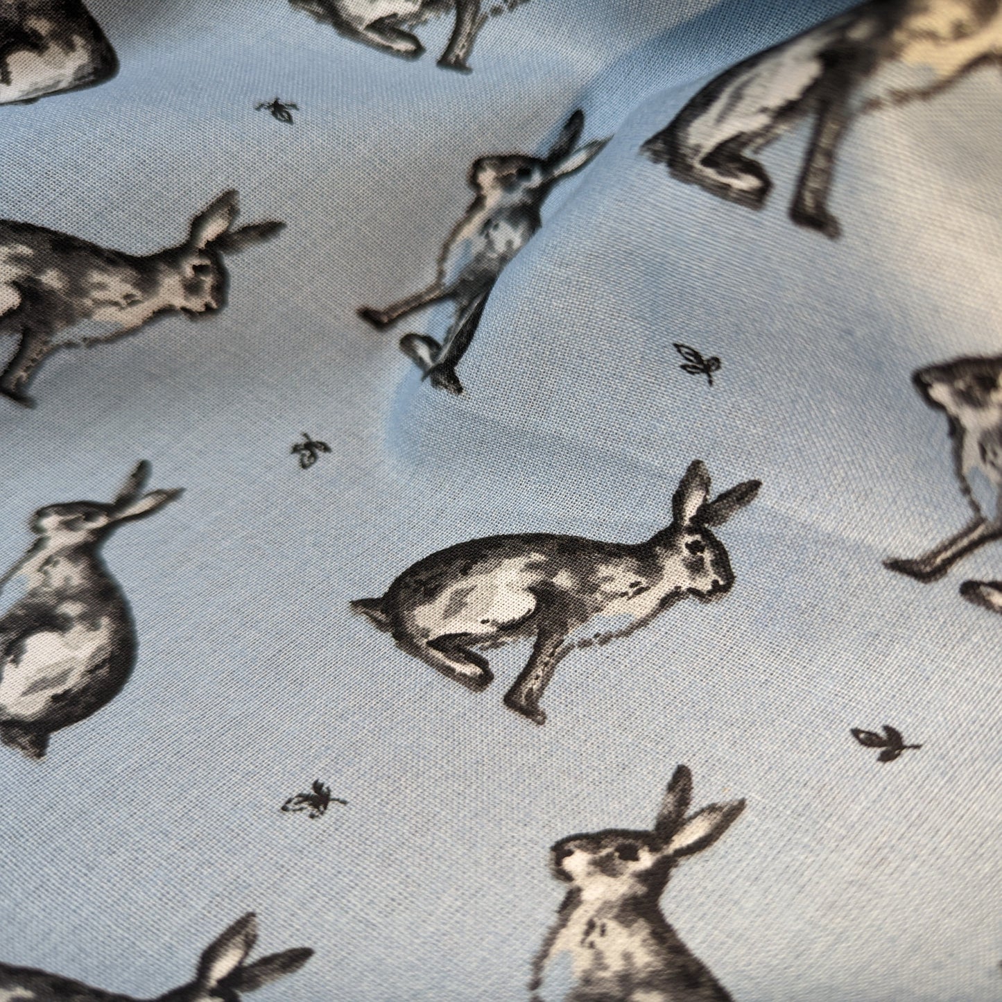 Lifestyle - Blue Bunnys