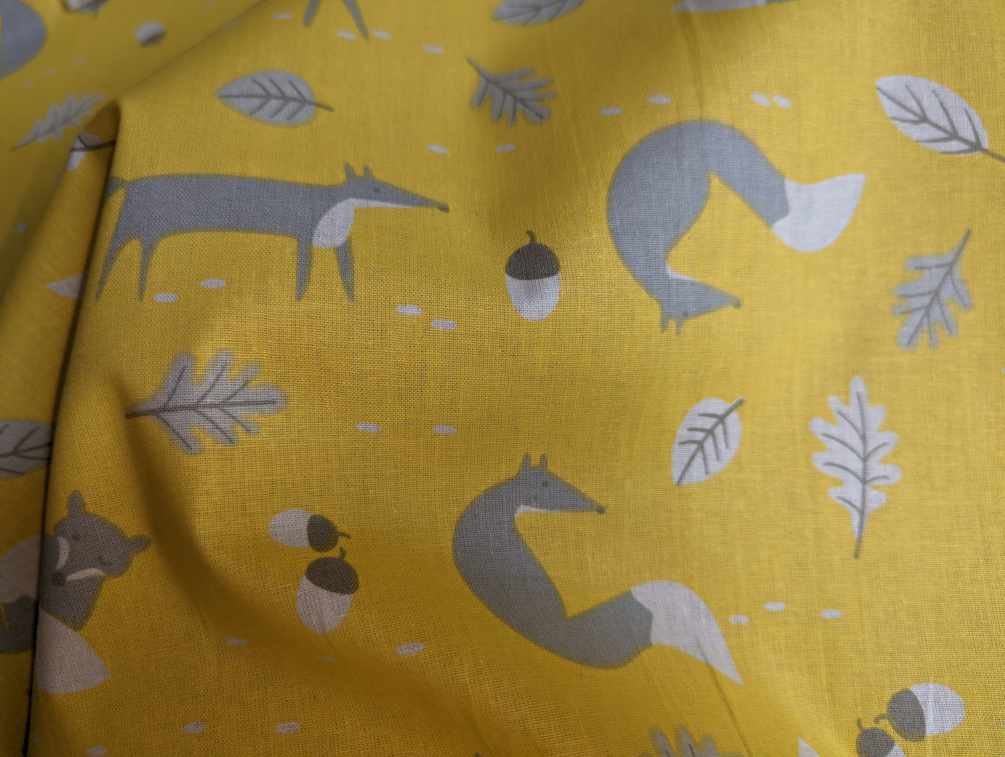 Lifestyle - Mr Fox Yellow