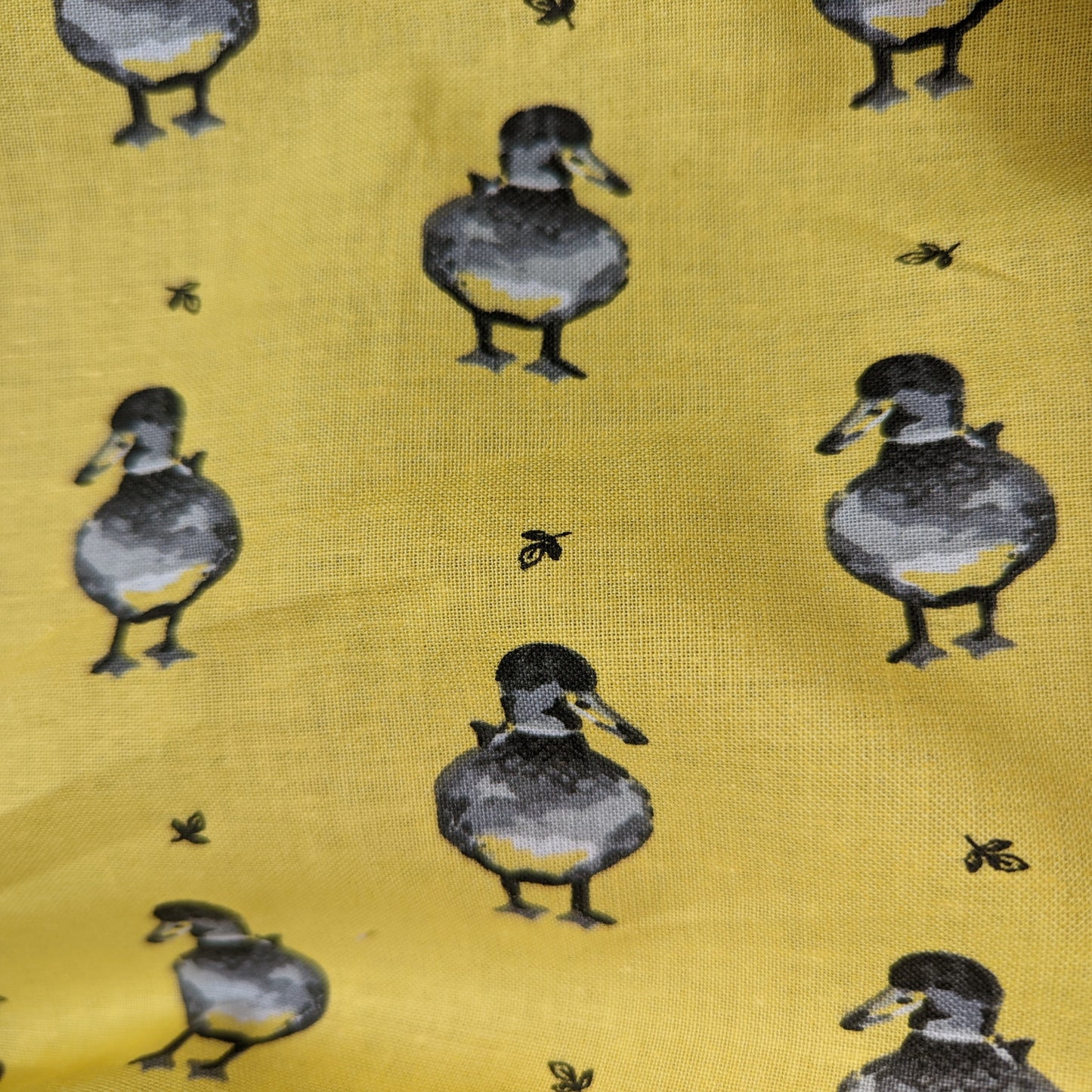 Lifestyle - Duck Yellow