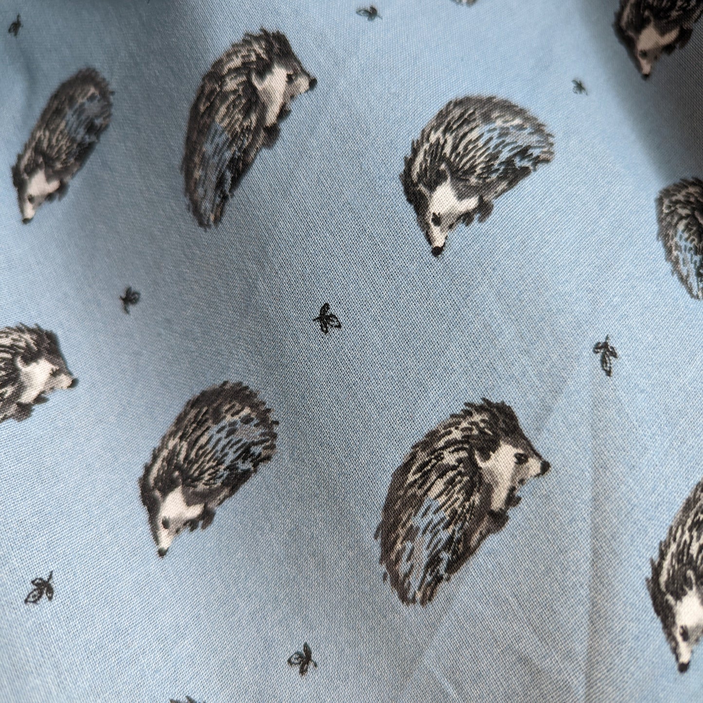 Lifestyle - Hedgehog Blue