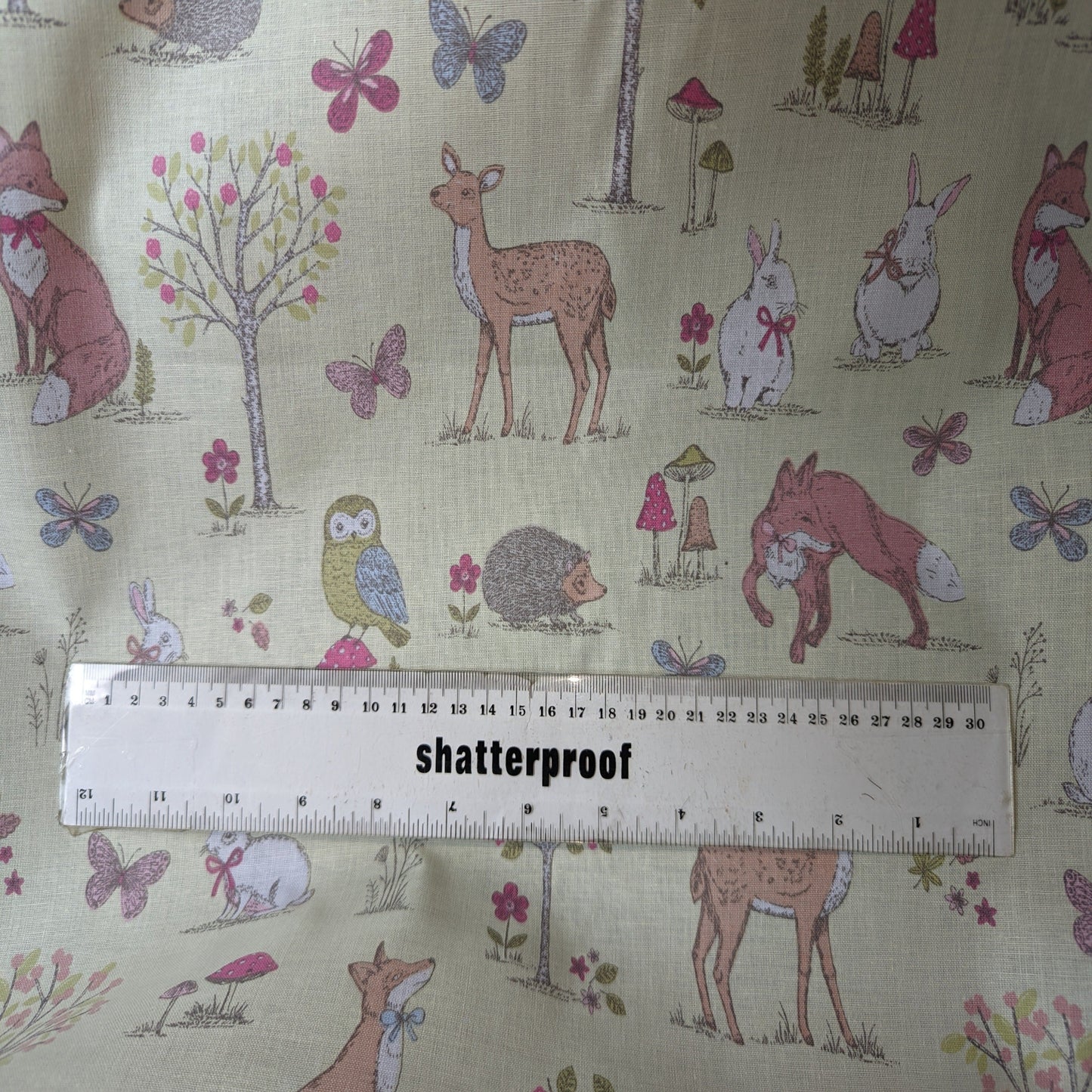 Lifestyle - Woodland Animals