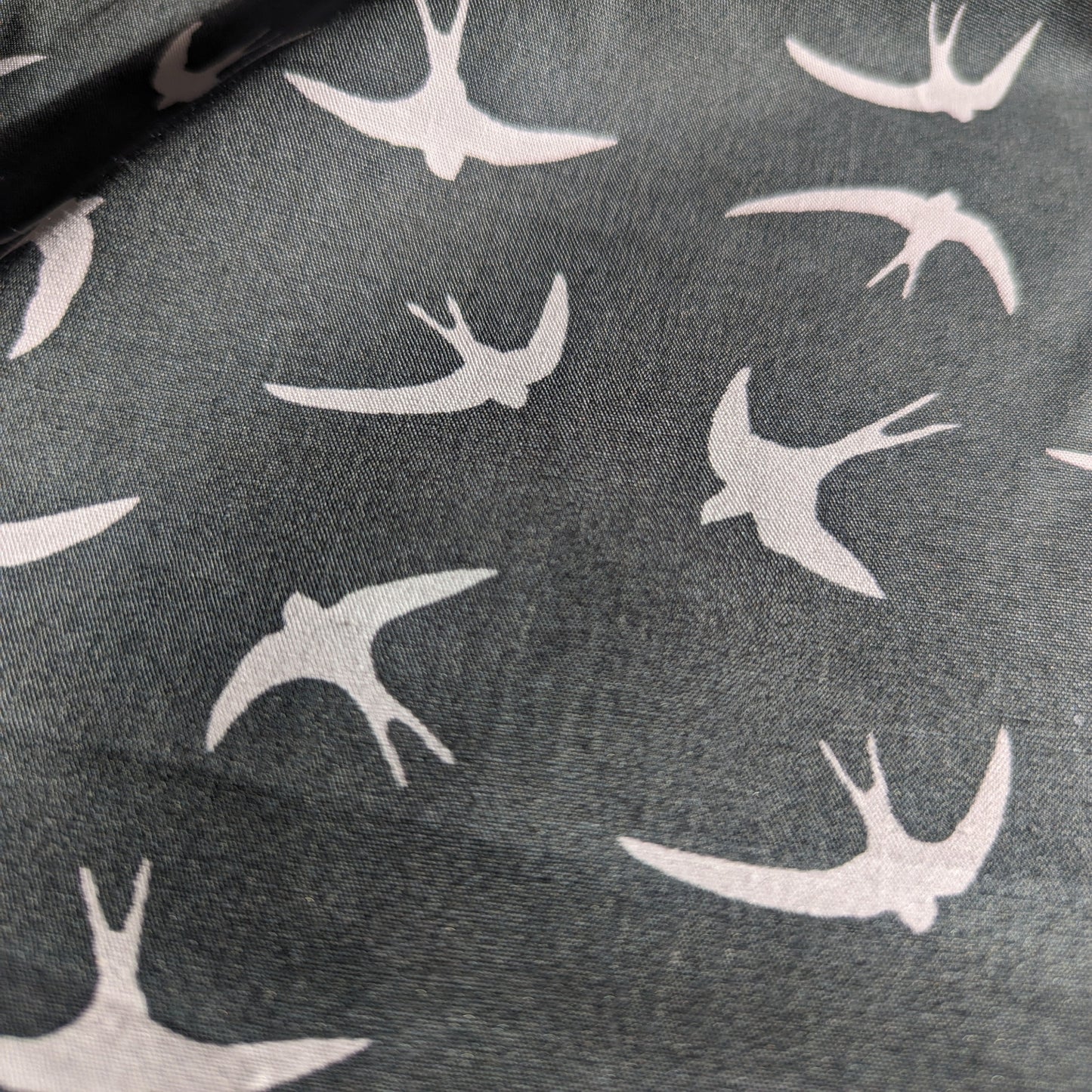 Rose & Hubble - Swallows