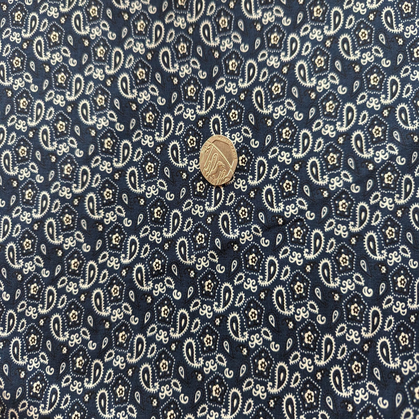 Bandana Ditzy by Michael Miller