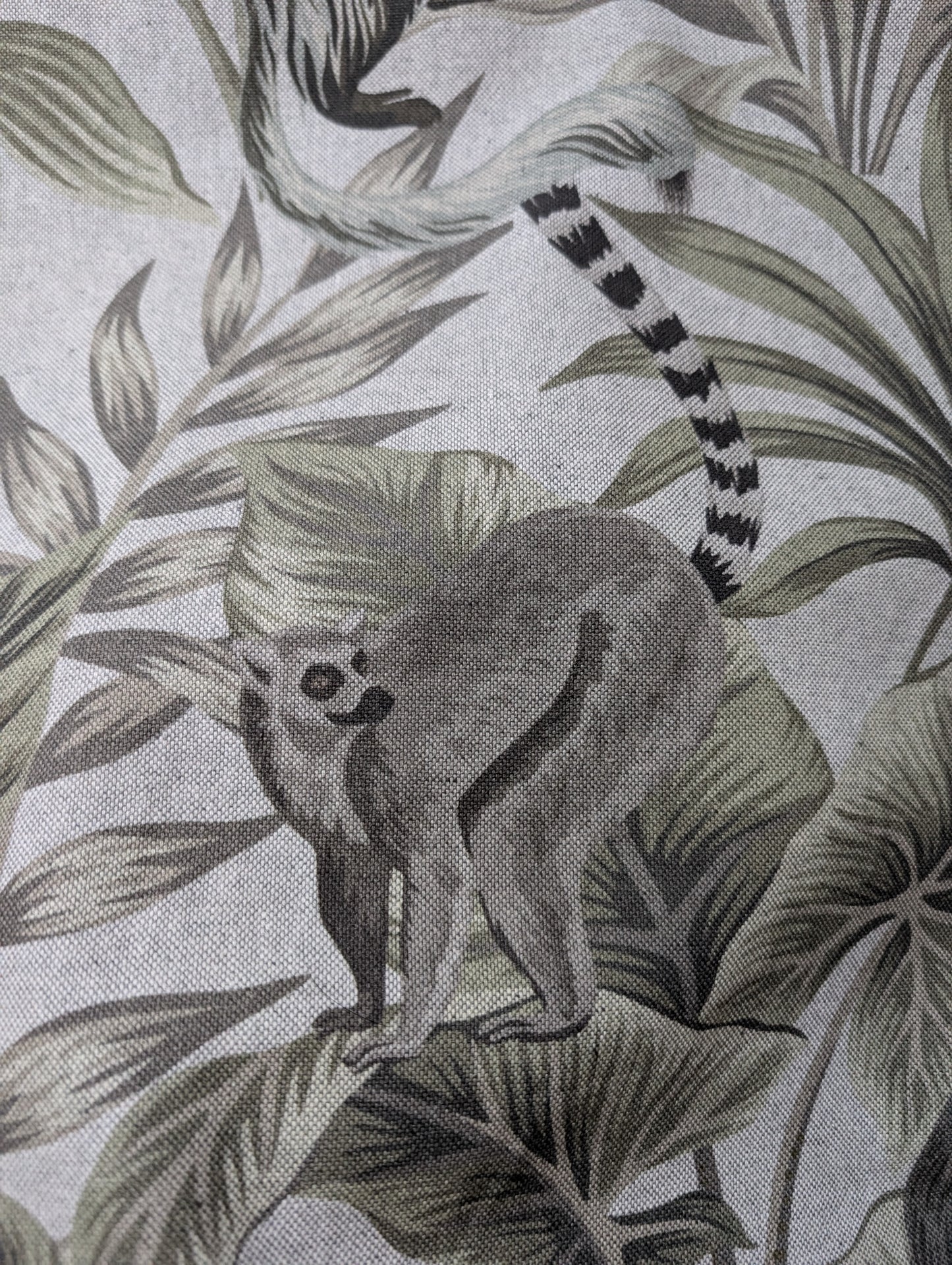 Madagascar - £3 A METRE!