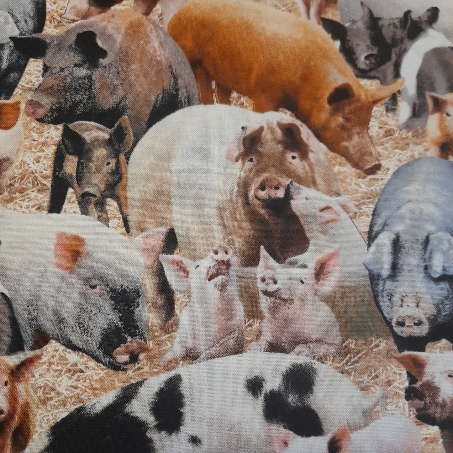 Piece 3 : Pigs n Piglets by Elizabeth's studio .