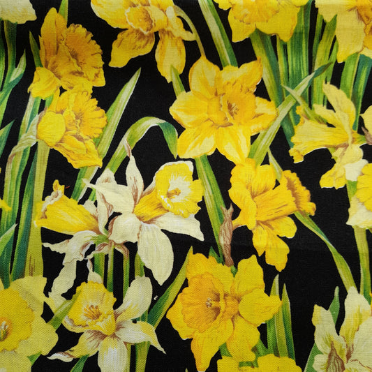 Nutex : Daffodils .