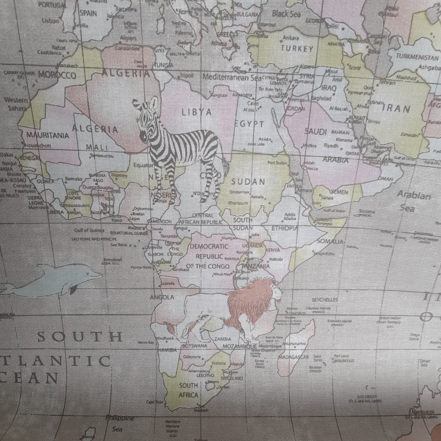 Lifestyle - World Map