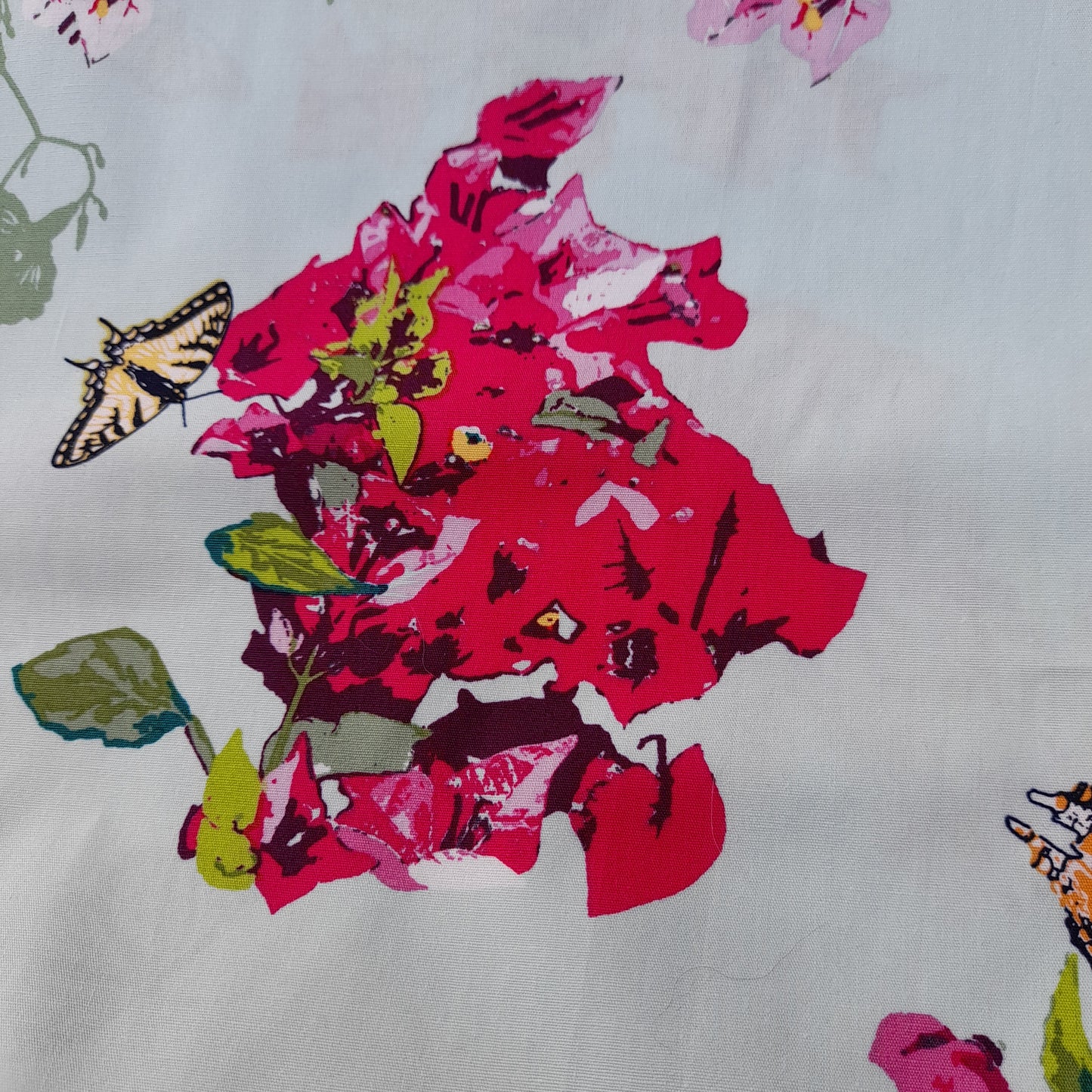 Art Gallery - Mediterraneo Bougainvillush