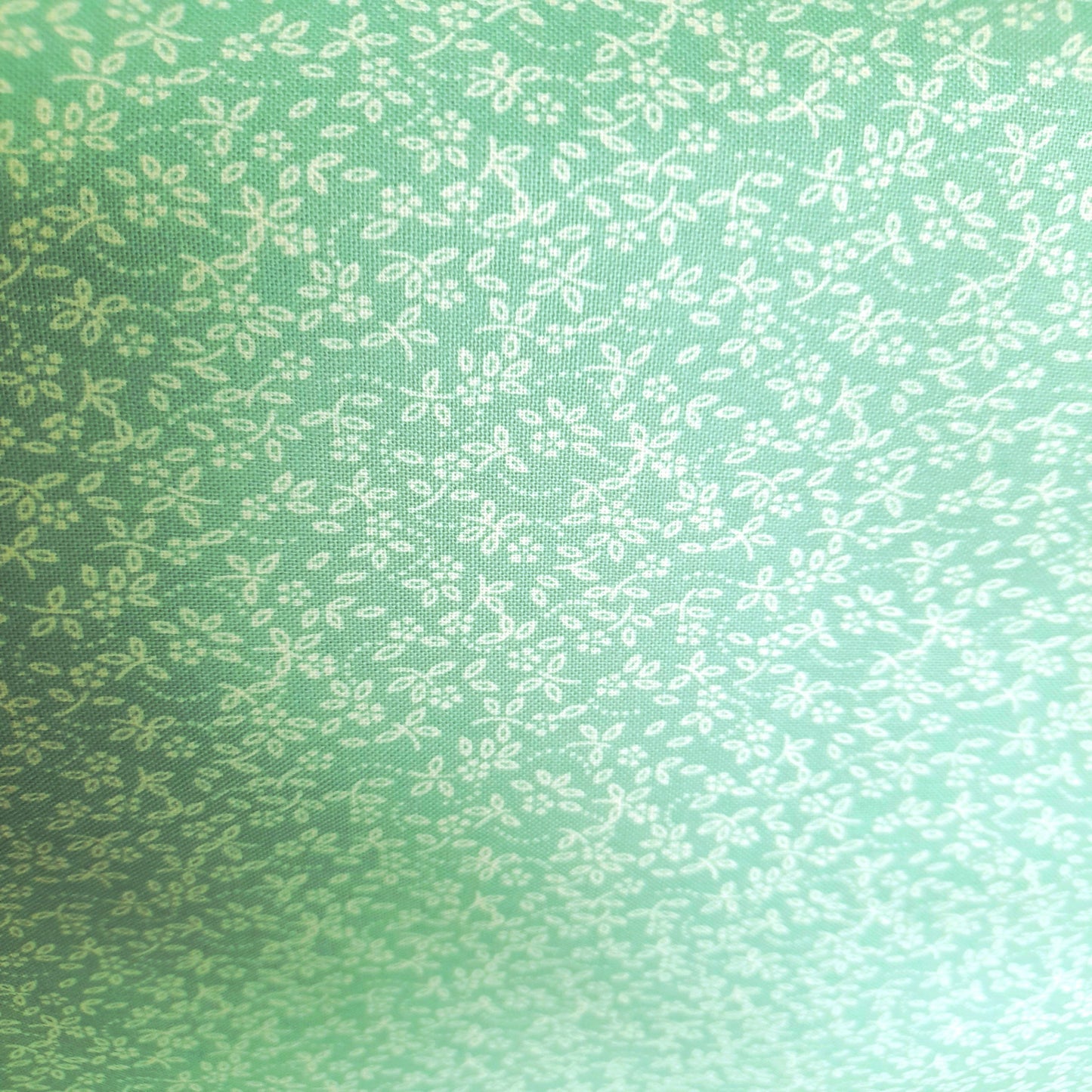 Ditzy Daisy - Duck Egg