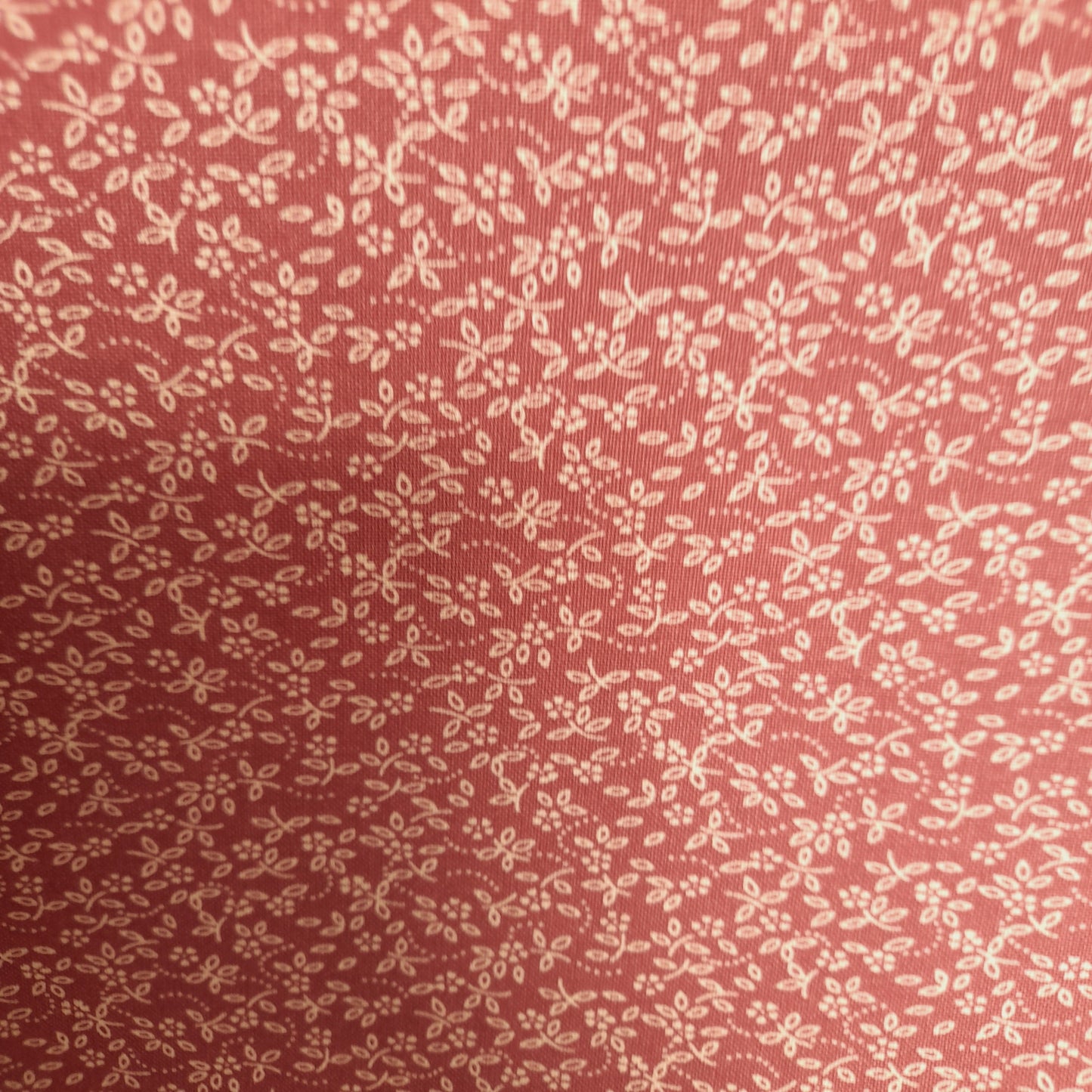 Ditzy Daisy - Dusty Pink