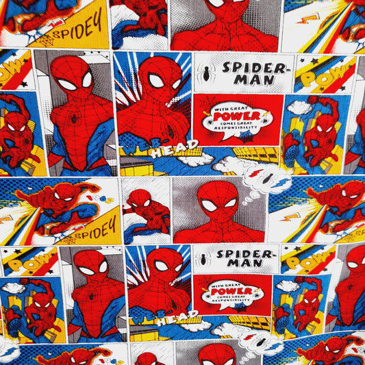 Spiderman Comic Strip