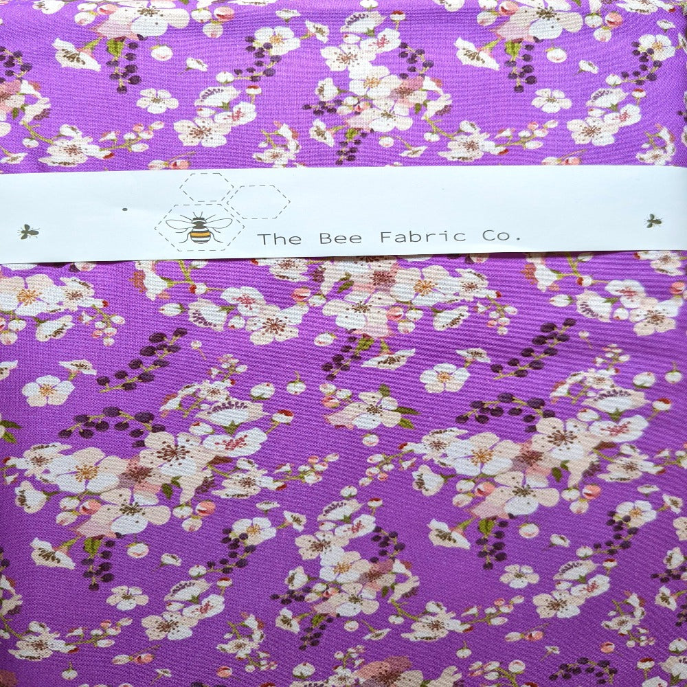 Olde world lilac