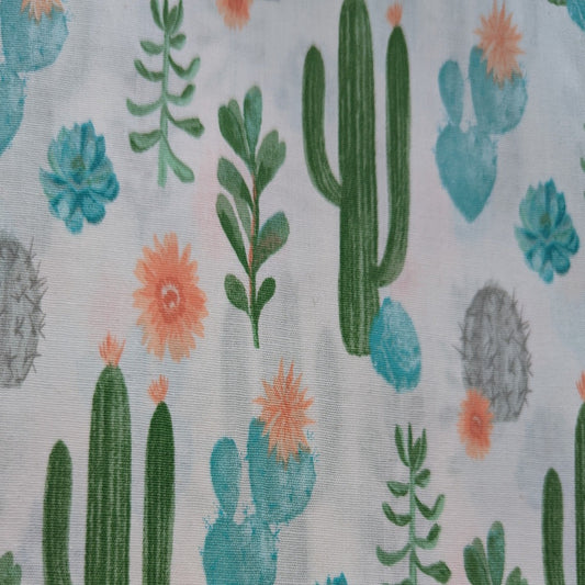 Cacti