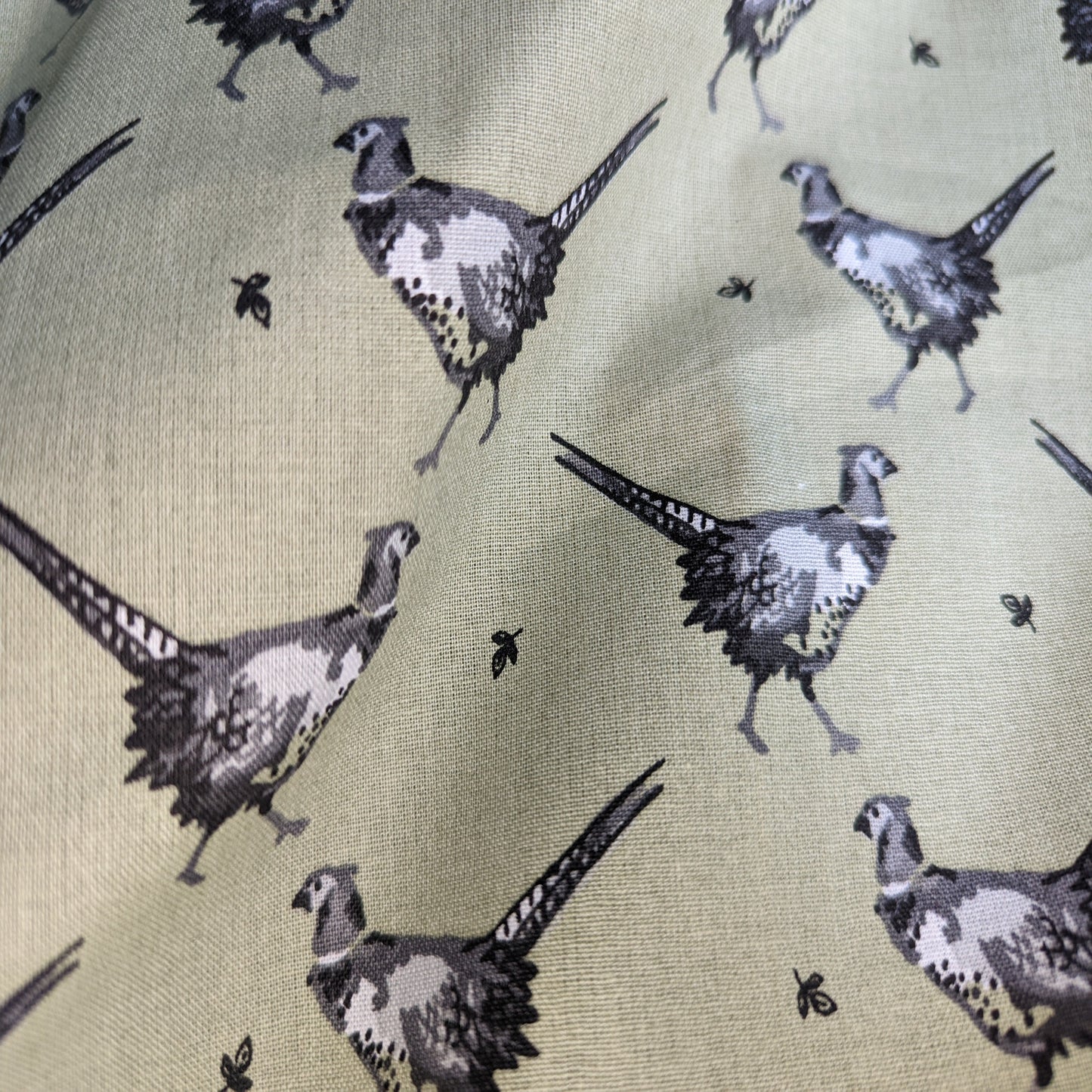 Lifestyle - Green Pheasant