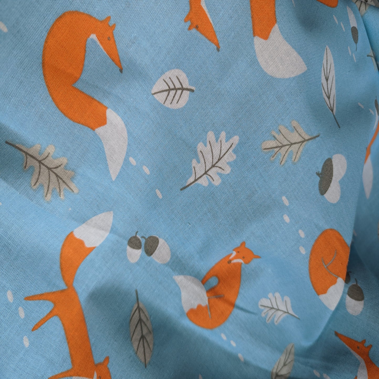 Lifestyle - Mr Fox Sky Blue