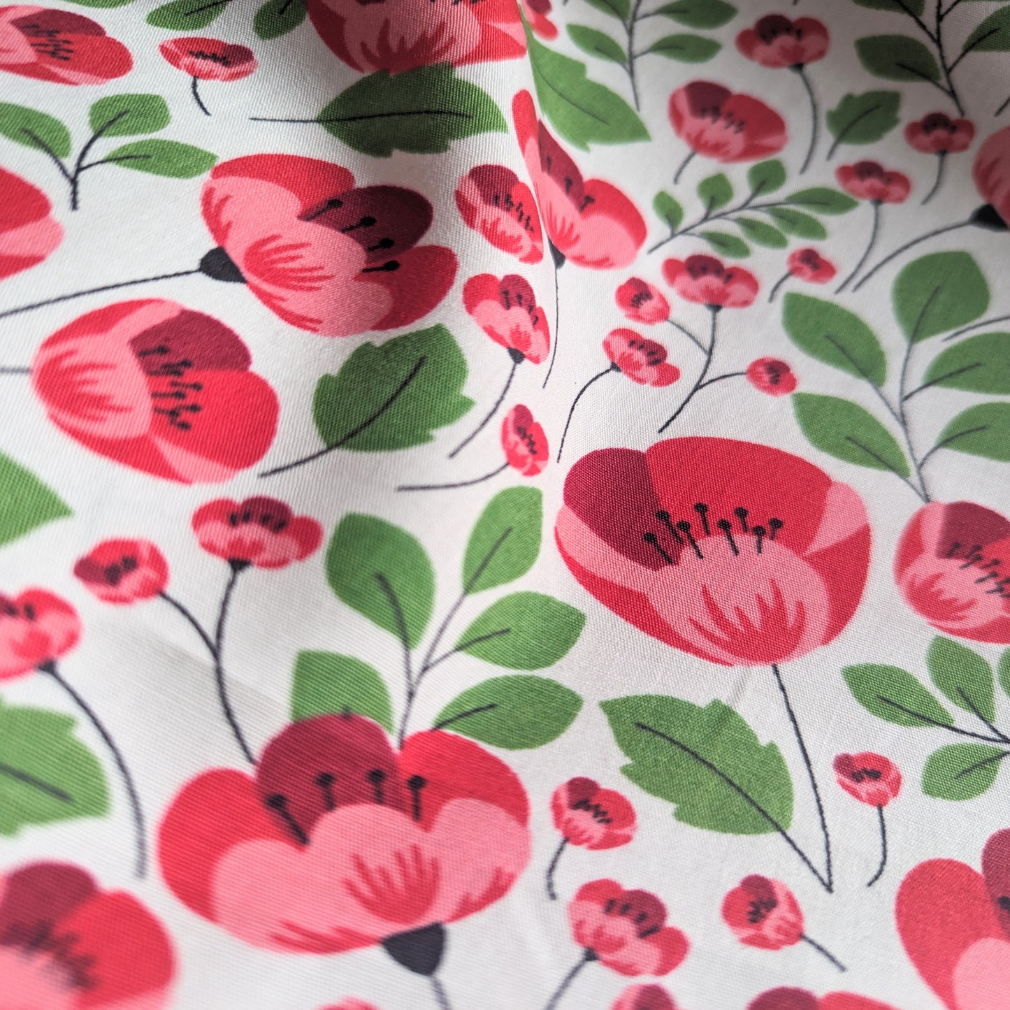 Rose and Hubble - Red Poppies on White