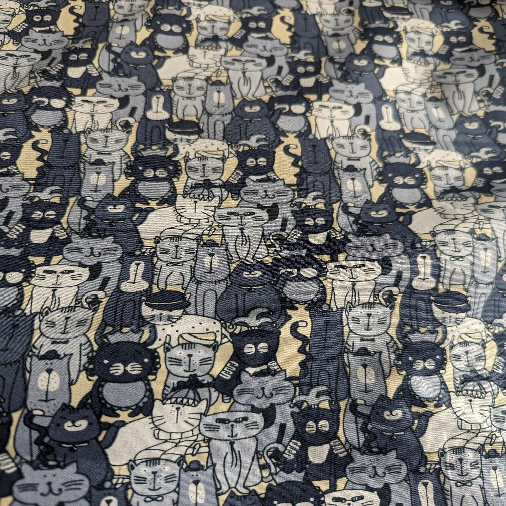 Hello Cats - Grey/Blue