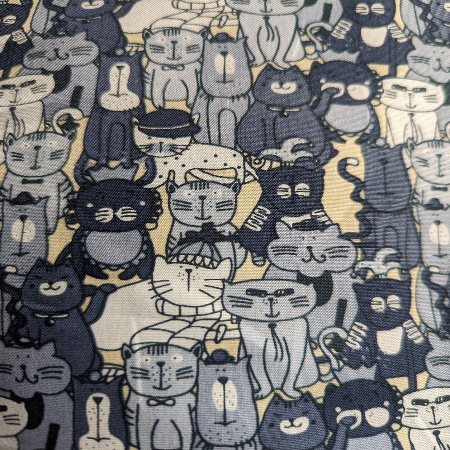 Hello Cats - Grey/Blue