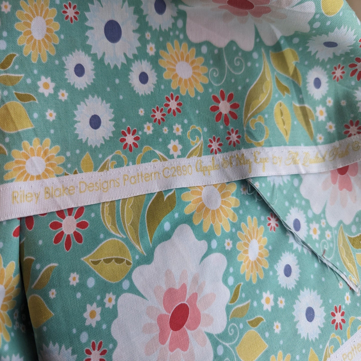 Apple of my Eye - Riley Blake