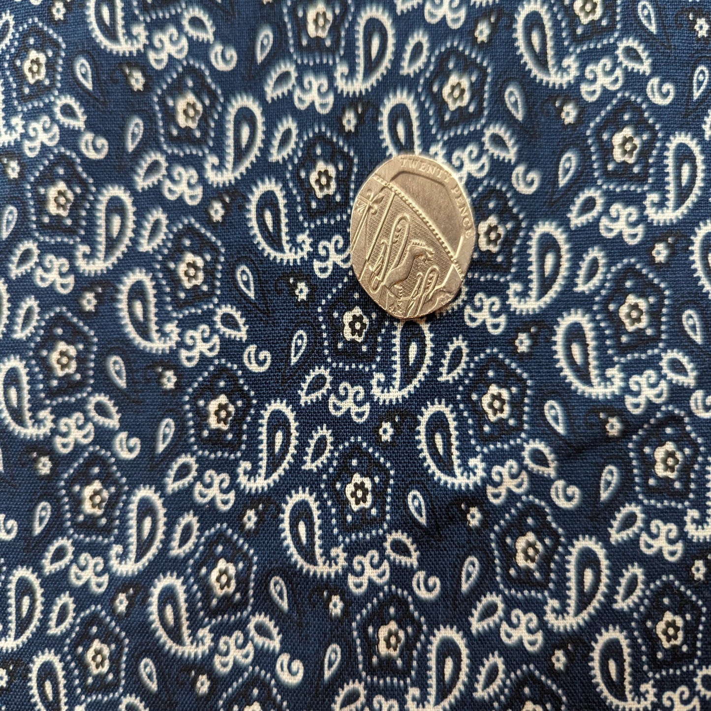 Bandana Ditzy by Michael Miller